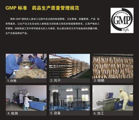 喜参两款新产品上市 开启2016人参食品养生新潮流